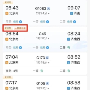 12306上带这个标志的列车，有什么不一样？