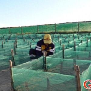 发现最美铁路｜铁龙奔腾！抒写中欧班列草原丝路新篇章