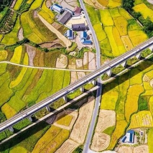 复兴号和金色稻田同框啦 震撼秋景大赏↓↓