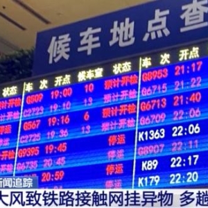 铁路接触网为何怕“异物”？捣乱“异物”有哪些？专家解读