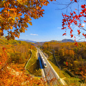 这条高铁近期特别火！除了美景还有不能“辜负”的美食