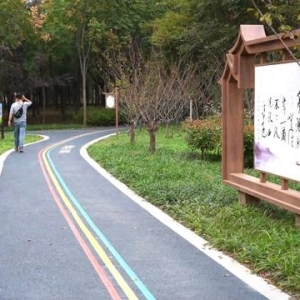 闵行有片“火车森林”知道吗？TA又升级啦