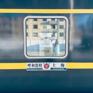 乘车体验好评！是什么让这趟列车的人气超高？