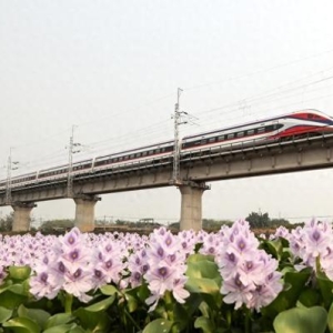 互联互通　共同发展——中老铁路铺就区域共同发展振兴之路