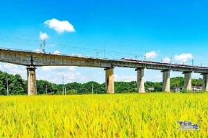 我国铁路年发送旅客首破40亿人次