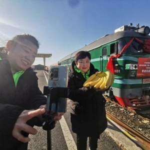 450吨老挝香蕉抵京！中老铁路国际冷链水果专列将每月运行