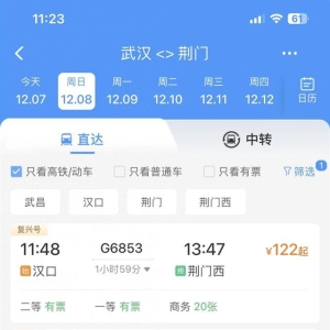 刚刚，荆荆高铁开始售票