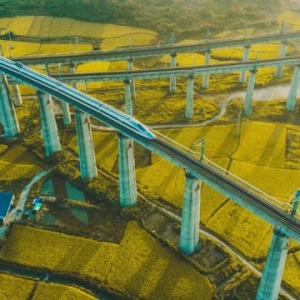 国家铁路局：1—11月全国铁路旅客发送量完成40.15亿人次，同比增长12.6%