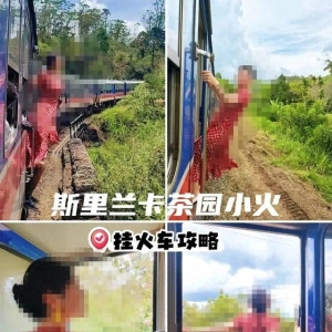 中国游客为拍“挂火车”意外坠落，实测斯里兰卡网红小火车：运行时不关车门