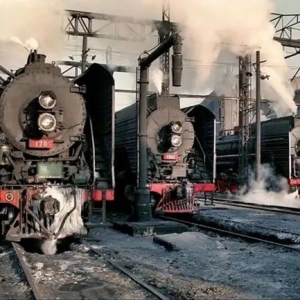 铁路旅客车辆货车车辆的车种车号及转向架型号有哪些？（1）