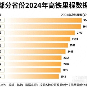 十省份实现“市市通高铁”，高铁弱省如何翻盘？丨高质量发展数据密码⑤
