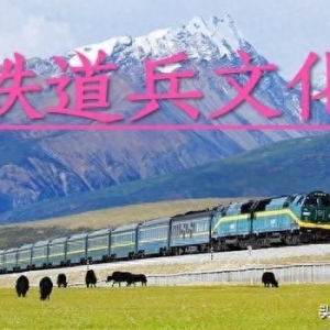 “柏赖子”的贡献——襄渝铁路险滩沟隧道遇险亲历记 作者/韩怀仁