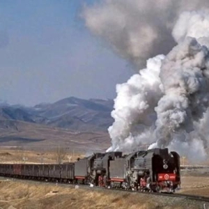 铁路旅客车辆货车车辆的车种车号及转向架型号有哪些？（2）