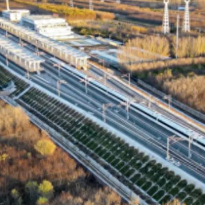 2025年铁路春运火车票，今日开售！