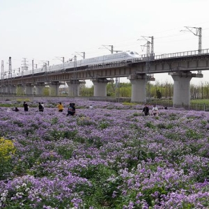 国铁集团：2024年国家铁路利润总额创历史最好水平