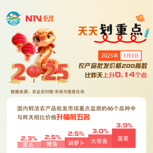 安徽一地包下高铁专列免费接老乡回家过年！ | 农视夜新闻