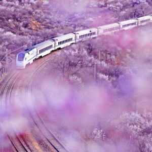 这些“网红列车”，你都坐过吗？