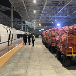 山东首条高铁快运专列开行！青岛至郑州仅3小时37分