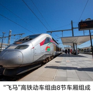 中国驻摩洛哥大使李昌林：摩洛哥掀起高铁建设新热潮