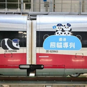 沉浸式与熊猫同乘！到广州南站打卡“香港熊猫专列”啦