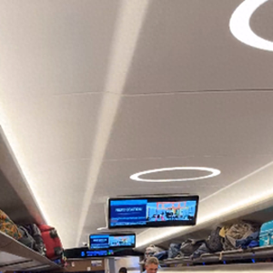 高铁车厢里全是老外！网友：以为出国了