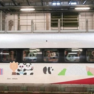 限时12周，广州直通！香港熊猫专列11日起运营