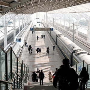 “列车撞鸟”的危险性高吗？铁路列车也要防鸟撞吗？一文了解