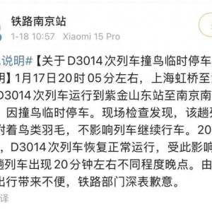 “因撞鸟临时停车”！列车撞鸟，影响有多大？