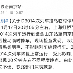 列车撞上飞鸟相当于撞上“子弹” 铁路列车也要防鸟撞→