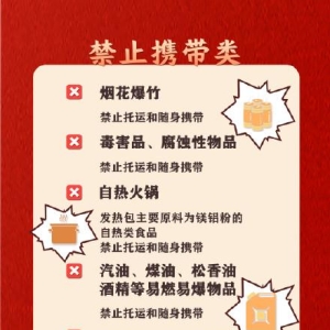 过年回家这些不能带上火车