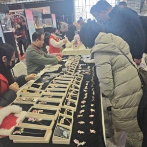 长三角铁路进入节前客流高峰，计划增开旅客列车419列