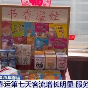 高铁“遛娃车厢”冲上热搜！网友：500多个月大能去吗