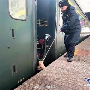 赶火车时物品掉轨道上了咋办？一文了解