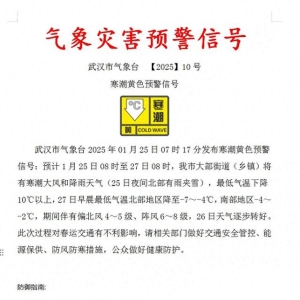 多地高速封闭、部分列车停运！武汉发布寒潮预警→