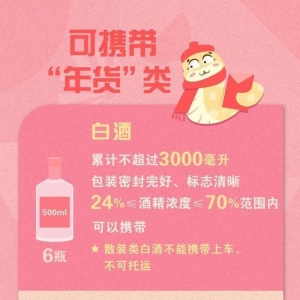 春运返程人 行李鼓鼓别白带！不是每件年货都能上火车