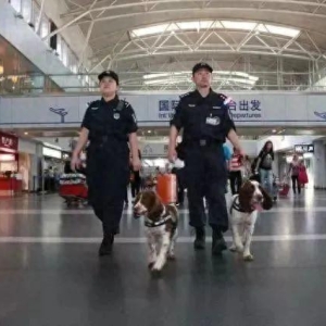火车上的屎真抛铁轨上了吗？这是我春运路上的终极困惑