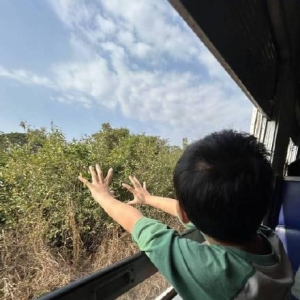 从新加坡坐12天火车回成都啥体验？当事人：一家三口都喜欢
