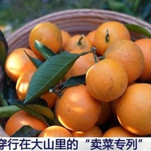 “慢火车”驶出“幸福路” 一起乘坐穿行在大山里的“卖菜专列”