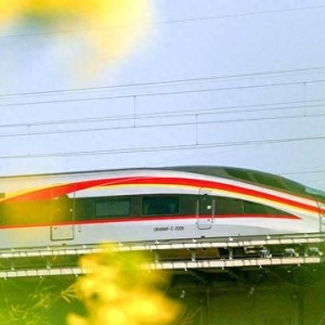 开往春天的列车：列车驶过花海 奔赴春天的约会