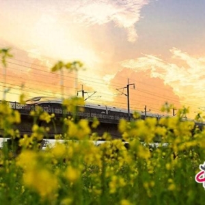 银发专列用慢风景解锁“快时代”的温情密码