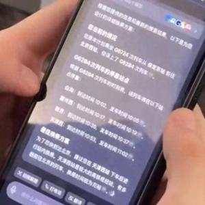 外国小哥用AI搞定高铁出行方案后感叹：条条大路通北京！