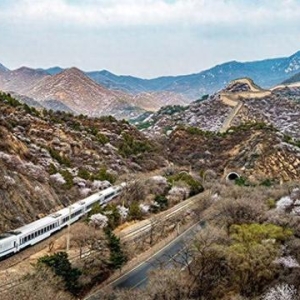 开往春天的列车：铁龙驰沃野 万紫千红入画