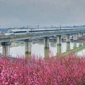 铁路时评：赏花专列跑出乡村振兴加速度