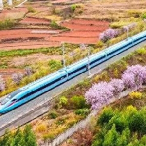 时评：“春日经济”绽放高铁文旅新图景