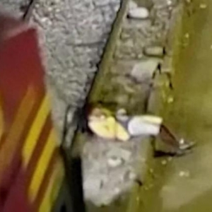 秘鲁男子醉酒后在火车铁轨上睡觉，被火车撞上，仅手臂受伤