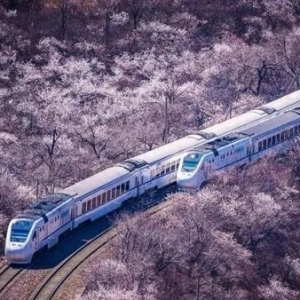 孙小荣：旅游专列各地跑，到底应该怎么搞？