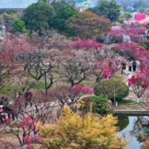 三角铁路春游，钢轨铺就“诗意幸福”新旅途