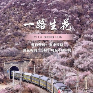 春日列车穿越花海壁纸，一起拥抱春天