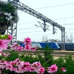 中国铁路，谱写交通强国与生态文明华彩乐章