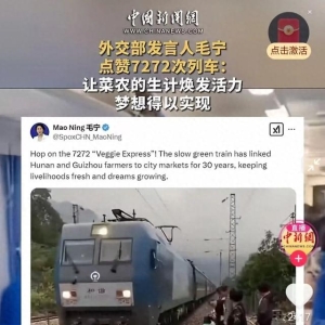 最低票价仅2元！这趟“卖菜专列”在海外火了！